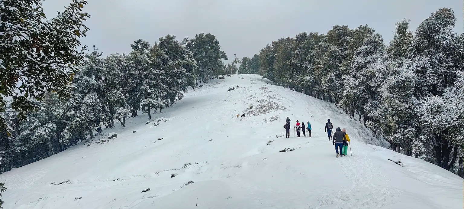 Nag Tibba Weekend Trek